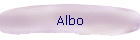 Albo