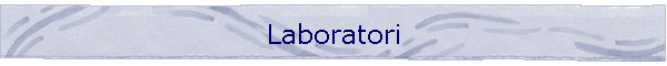 Laboratori