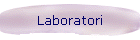 Laboratori
