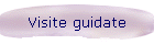 Visite guidate